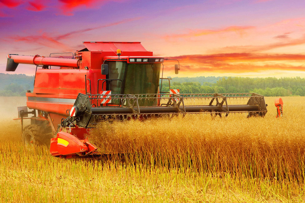 国务委员*勇视察中农发集团中牧研究院